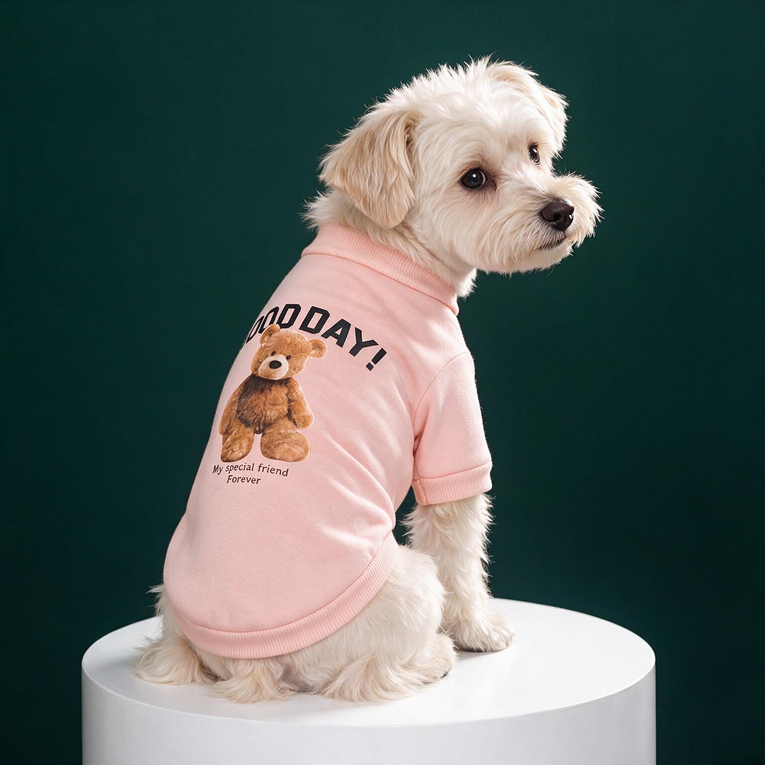 Good Day Teddy Dog Pullover