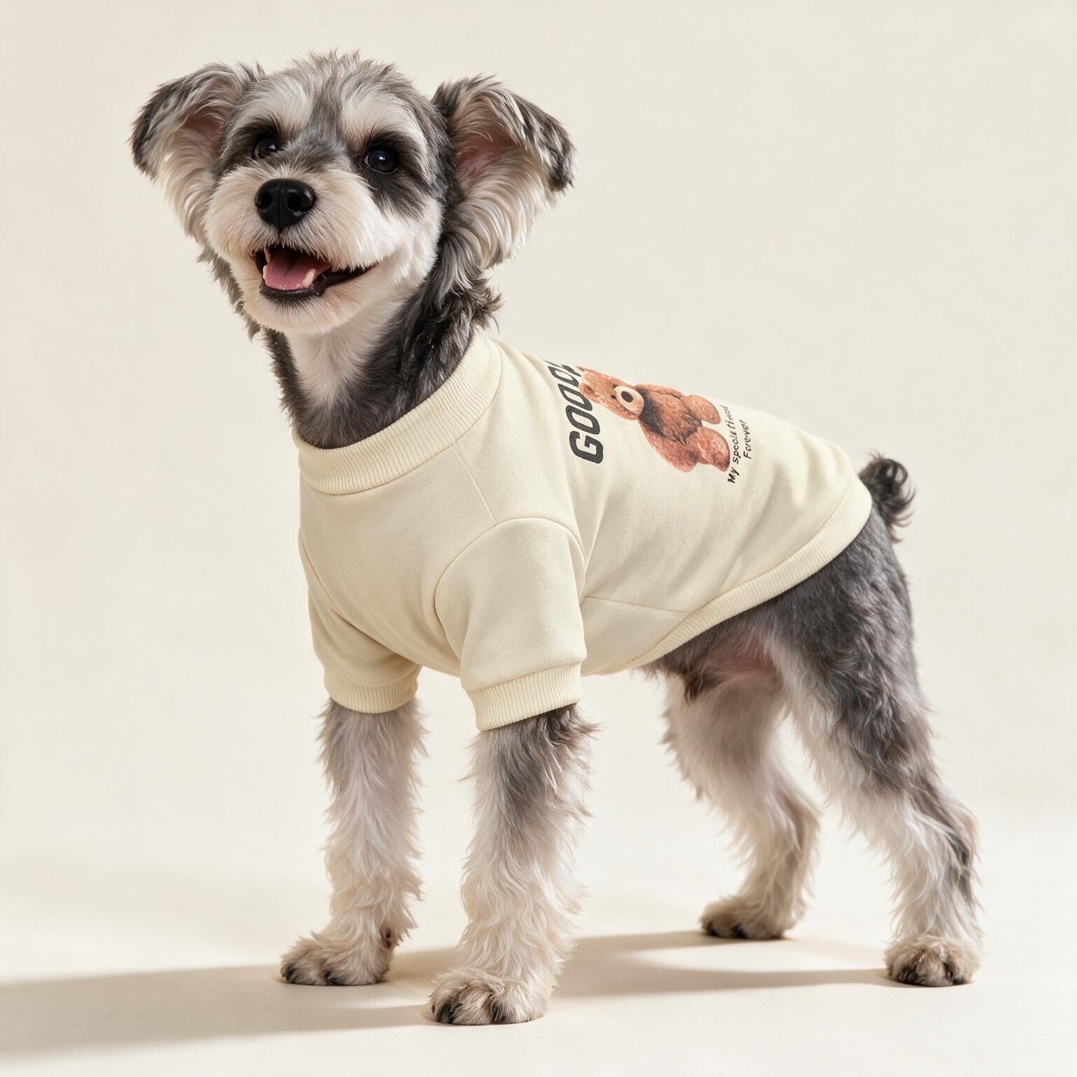 Good Day Teddy Dog Pullover