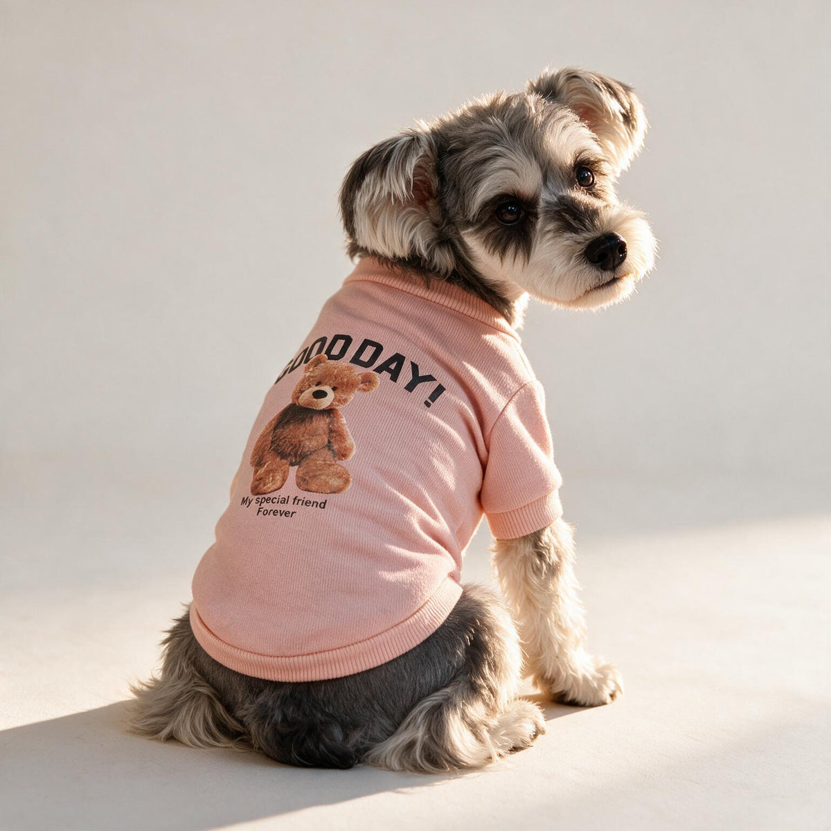 Good Day Teddy Dog Pullover