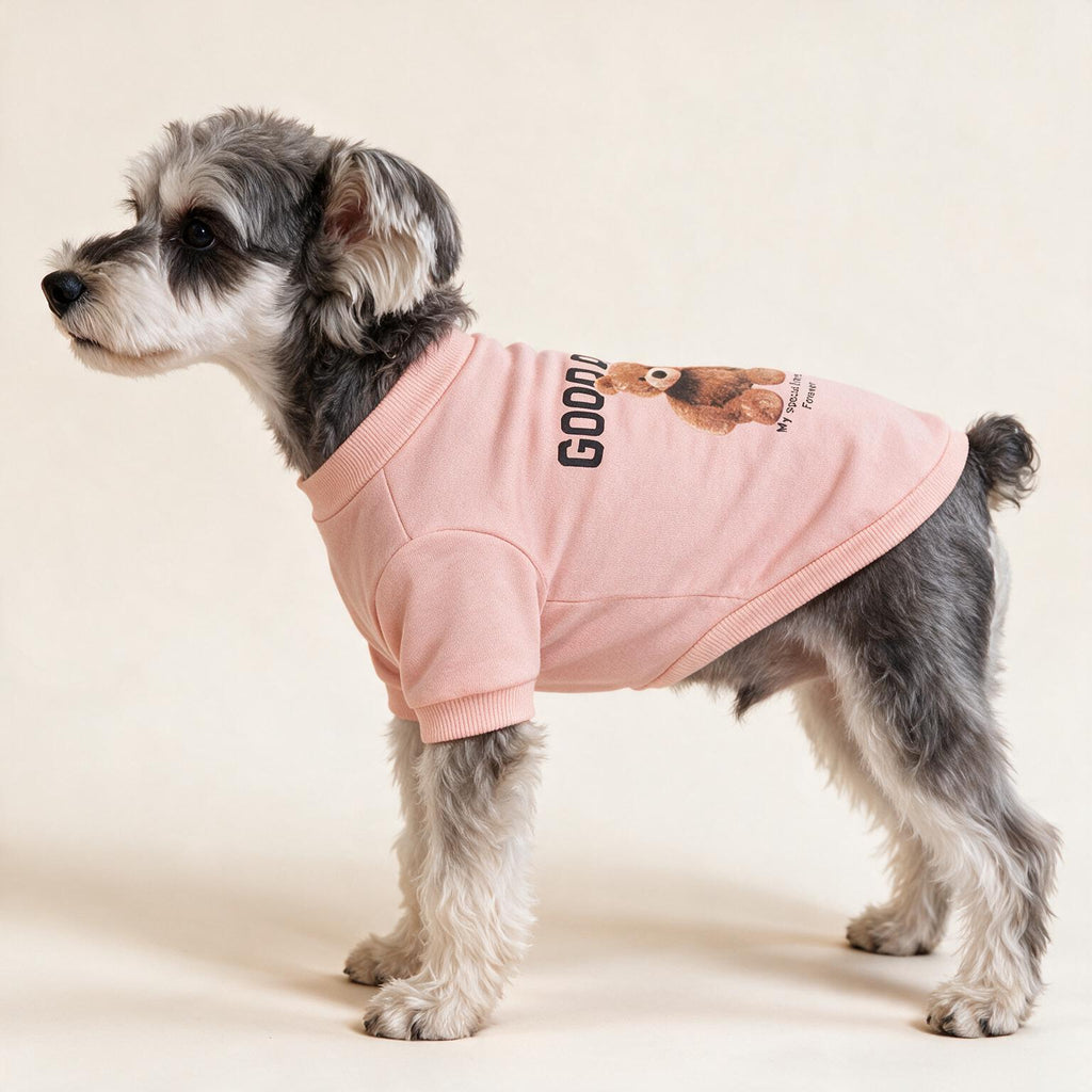 Good Day Teddy Dog Pullover